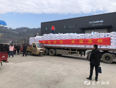 精打細算助農節本增收——市供銷社農資集采集配活動成效顯著